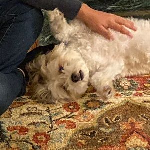 Meet your Posher, Wretam